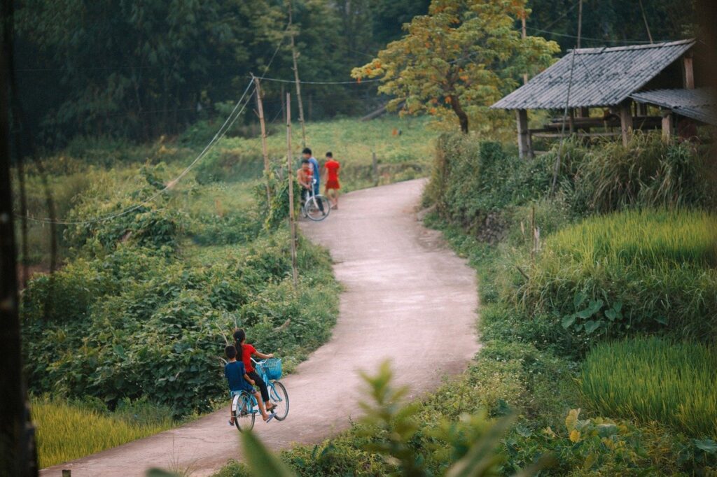 forest, path, town, nature, bicycle, nature, nature, nature, nature, nature